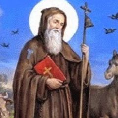 Sant’Antonio Abate la storia. Santo protettore degli Animali. Preghiera e video