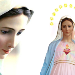 Messaggi e Preghiera alla Madonna di Medjugorje per oggi, 2 Gennaio 2021