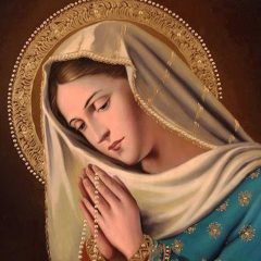 Devozione alla Beata Vergine Maria Immacolata: Supplica