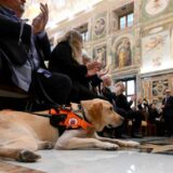 Papa Francesco: no al pietismo verso i disabili